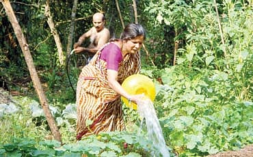 ಥರ ಥರ ತರಕಾರಿ