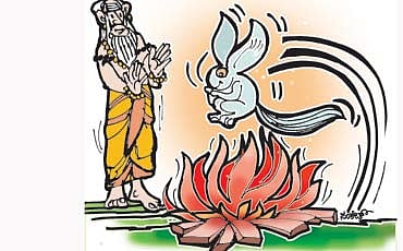 ಮೊಲದ ನೆರಳು