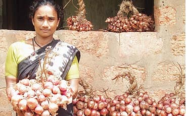 ಪೊತ್ತೆ ಗೊತ್ತೆ?