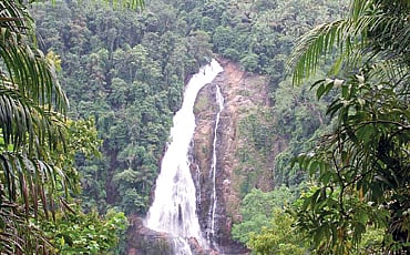 ಮುತ್ತಿ ಬನ್ನಿ