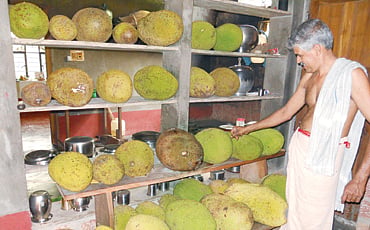 ಹಲಸುದಿನ