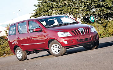 ಕ್ಸೈಲೋ ಸ್ಟೋಲೋ