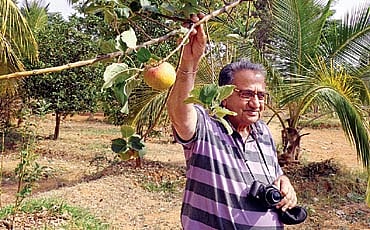 ಕರುನಾಡ ಸೇಬು!