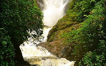ವಿಭೂತಿ ಧಾರೆ