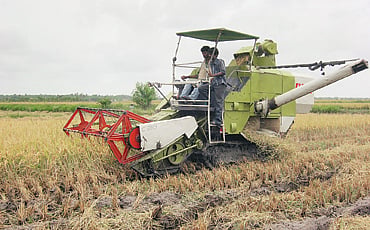 ಬಂಪರ್ ಭತ್ತ
