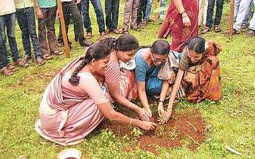ಬಿಲ್ವ ಬಣ