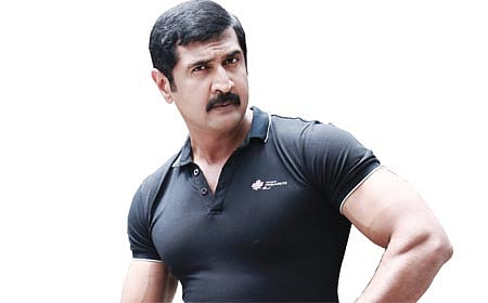 ಮತ್ತೆ ಬಂದ ಕನ್ನಡದ ಕಂದ