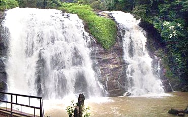 ಅಬ್ಬಿ ಅಬ್ಬರ