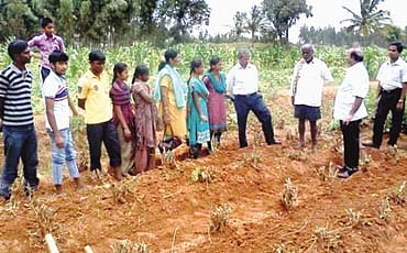 ಸುವರ್ಣ ಸಿರಿ