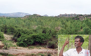 ಹಸಿರು ರಕ್ಷಕ