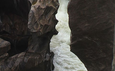 ಮೇಕೆ ದಾಟು  (ಸಾಂದರ್ಭಿಕ ಚಿತ್ರ)