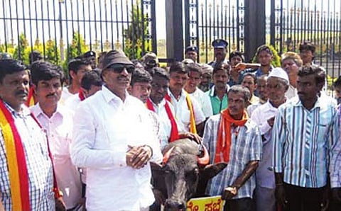 ಬೆಳಗಾವಿಯ ಸುವರ್ಣ ಸೌಧದ ಮುಂಭಾಗ ಬುಧವಾರ ಎಮ್ಮೆಗಳೊಂದಿಗೆ ಪ್ರತಿಭಟನೆ ನಡೆಸಿದ ವಾಟಾಳ್ ನಾಗರಾಜ್.