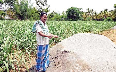 ನಾಲ್ಕಡಿ ಪಟ ಪದ್ಧತಿ