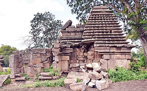 ನೇ..ಸರಗಿ ನೋಡು