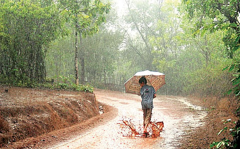 ನೀರ್ಗತೆಗಳು