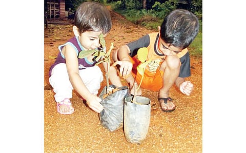 ಜುಲೈನ ಹಸಿರು ಜಾತ್ರೆ