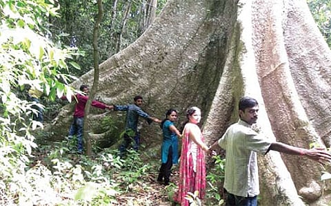 ಬೆತ್ತಲೆ ಮರ ಬಿತ್ತಲೇ