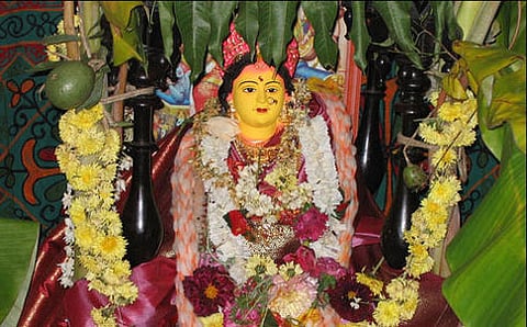 ಸ್ವರ್ಣರಂಜಿತ ಗೌರಿ