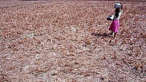 ಸಾಂದರ್ಭಿಕ ಚಿತ್ರ