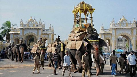ವಿಶ್ವ ವಿಖ್ಯಾತ ಮೈಸೂರು ದಸರಾ ಮಹೋತ್ಸವ ಹಿನ್ನೆಲೆಯಲ್ಲಿ ಜಂಬುಸವಾರಿಯಲ್ಲಿ ಪಾಲ್ಗೊಳ್ಳುವ ಗಜಪಡೆಗೆ ಎಂದಿನಂತೆ ತರಬೇತಿ ನೀಡಲಾಗುತ್ತದೆ. ಜಂಜುಸವಾರಿಗೂ 1 ತಿಂಗಳ ಮುಂಚಿಗೆ ಗಜಪಡೆಯನ್ನು ಮೈಸೂರಿಗೆ ಕರೆಸಿಕೊಂಡು ತರಬೇತಿ ನೀಡಲಾಗುತ್ತದೆ. ಈ ವೇಳೆ ಗಜಪಡೆಗೆ ಸ್ವಾಧಿಷ್ಟ ಆಹಾರ ನೀಡಲಾಗುತ್ತದೆ.