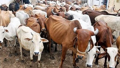 ಸಾಂದರ್ಭಿಕ ಚಿತ್ರ