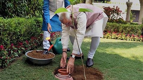 ರೇಸ್ ಕೋರ್ಸ್ ನಲ್ಲಿರುವ ನಿವಾಸದಲ್ಲಿ ಸಸಿ ನೆಡುತ್ತಿರುವ ನರೇಂದ್ರ ಮೋದಿ