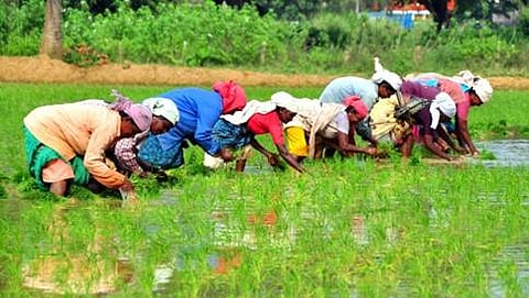 (ಸಾಂದರ್ಭಿಕ  ಚಿತ್ರ)