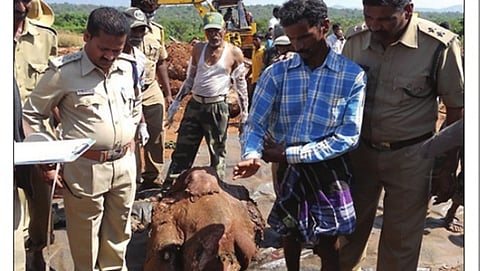 ಮೃತ ಆನೆಯನ್ನು ಪರಿಶೀಲಿಸುತ್ತಿರುವ ಅರಣ್ಯ ಇಲಾಖೆ ಅಧಿಕಾರಿಗಳು