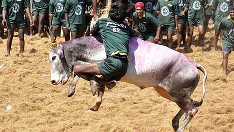 ಸಂಗ್ರಹ ಚಿತ್ರ