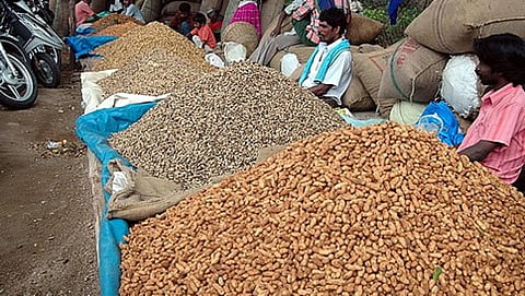 ಕಡಲೆಕಾಯಿ ಪರಿಷೆ( ಸಂಗ್ರಹ ಚಿತ್ರ)