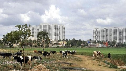 ಕೆರೆ ಒತ್ತವರಿ ತೆರವು ಕಾರ್ಯಾಚರಣೆ (ಸಂಗ್ರಹ ಚಿತ್ರ)