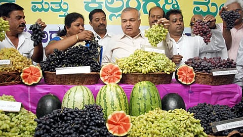 ಹಾಪ್‍ಕಾಮ್ಸ್ ಹಮ್ಮಿಕೊಂಡಿದ್ದ ದ್ರಾಕ್ಷಿ- ಕಲ್ಲಂಗಡಿ ಮೇಳ