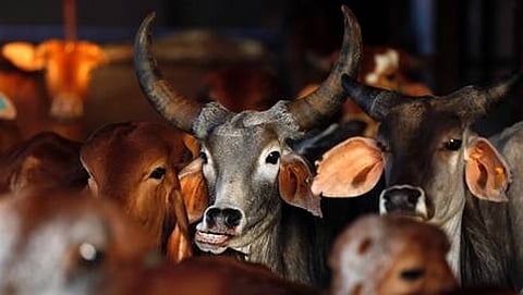 ಸಾಂದರ್ಭಿಕ ಚಿತ್ರ