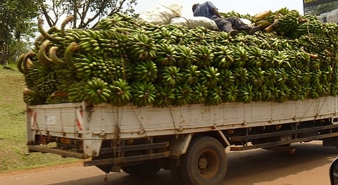 ಸಾಂದರ್ಭಿಕ ಚಿತ್ರ