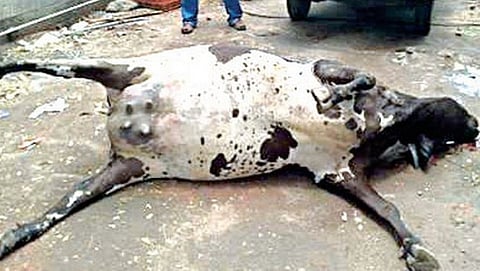 ಸಾಂದರ್ಭಿಕ ಚಿತ್ರ