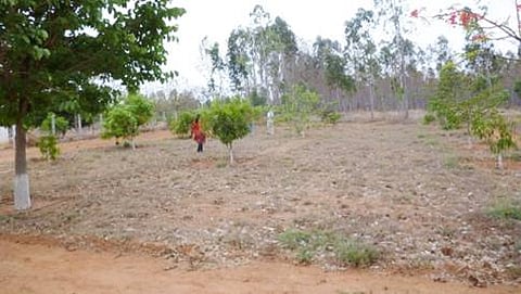 ಸಾಂದರ್ಭಿಕ ಚಿತ್ರ