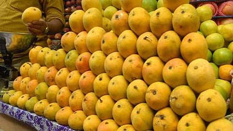 ಸಂಗ್ರಹ ಚಿತ್ರ