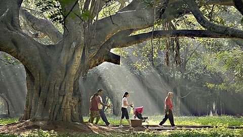 ಕಬ್ಬನ್ ಪಾರ್ಕ್, ಬೆಂಗಳೂರು (ಸಂಗ್ರಹ ಚಿತ್ರ)