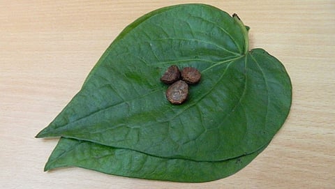ವೀಳ್ಯದೆಲೆ