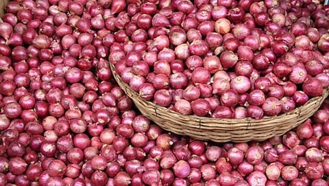 ಈರುಳ್ಳಿ