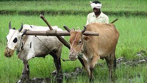 ಸಾಂದರ್ಭಿಕ ಚಿತ್ರ