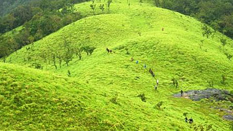 ಕುದುರೆ ಮುಖ ರಾಷ್ಟ್ರೀಯ ಉದ್ಯಾನವನ