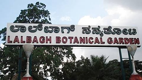 (ಸಾಂದರ್ಭಿಕ  ಚಿತ್ರ)