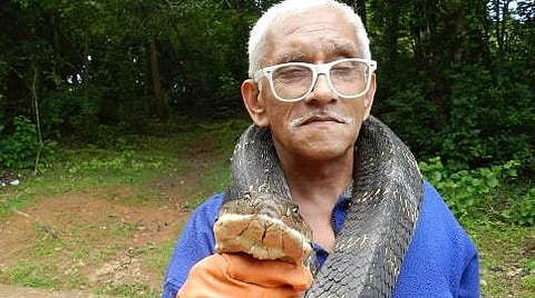ಕಾಳಿಂಗ ಕಚ್ಚುವುದಕ್ಕೂ ಮೊದಲು ಅದನ್ನು ಹಿಡಿದು ಪ್ರದರ್ಶಿಸಿದ ಪ್ರಫುಲ್