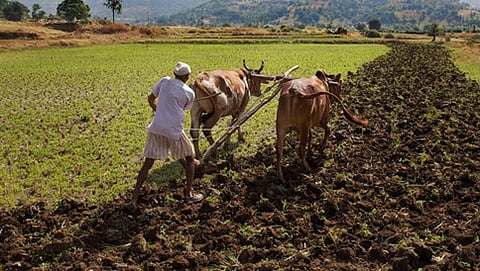 ಸಾಂದರ್ಭಿಕ ಚಿತ್ರ