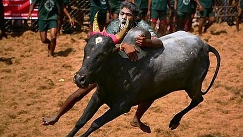 ಸಾಂದರ್ಭಿಕ ಚಿತ್ರ