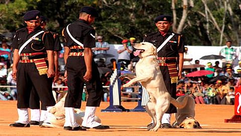 ಸಾಂದರ್ಭಿಕ ಚಿತ್ರ
