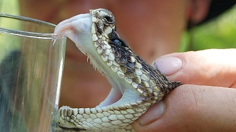 ಸಾಂದರ್ಭಿಕ ಚಿತ್ರ