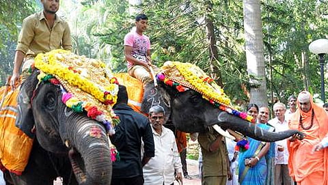 ಎರಡು ಆನೆಗಳನ್ನು ಮೈಸೂರು ಮೃಗಾಲಯಕ್ಕೆ  ನೀಡಿದ ಸುತ್ತೂರು ಮಠ
