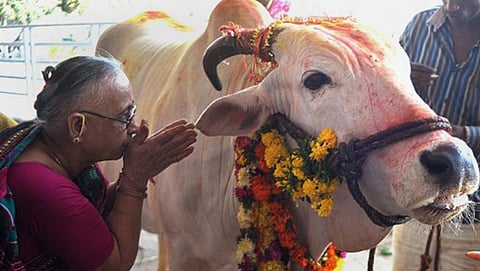 ಸಾಂದರ್ಭಿಕ ಚಿತ್ರ